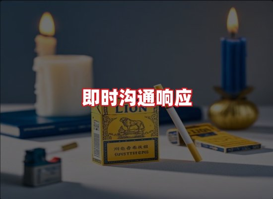 专业团队